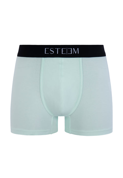 MINT BASIC TRUNKS